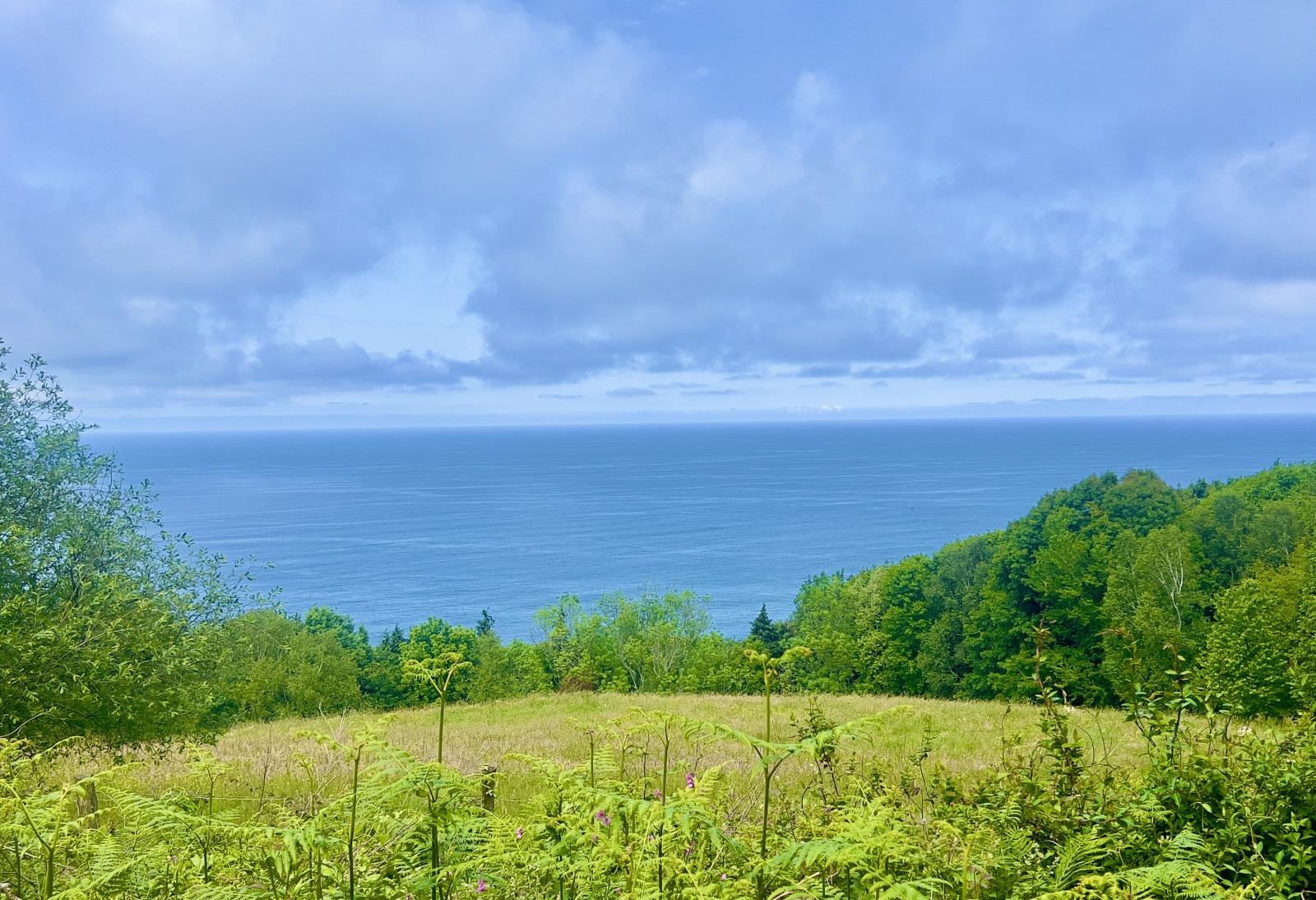 En venta: Chalet con vistas al mar en Donostia-San Sebastián 37108227 14139259 foto459864207 - En venta: Chalet con vistas al mar en Donostia-San Sebastián